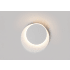 Round Dual Use LED Wall Ceiling Mount Light